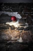 Notre zone d'activité pour ce service Trouver un bon restaurant lyonnais avec une terrasse ombragée près de Lyon 69004